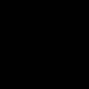 Meet your Posher, Lance